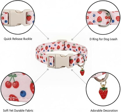 Girl Dog Collar, Cute Dog Collar - Image 2