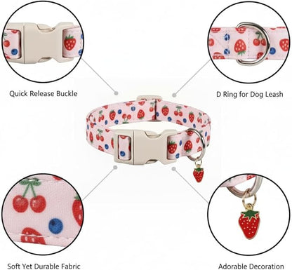 Small Dog Collar, Cute Dog Collar - Image 2