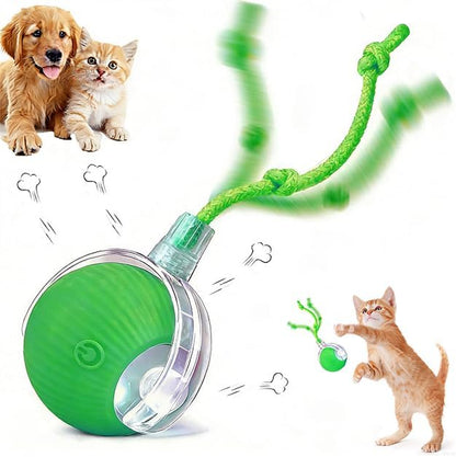 2024 New Electric Dog Ball Toy for Cat, 360° Smart Automatic Interactive by AUTRETY