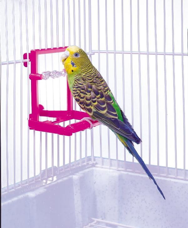 Penn-Plax Bird Life - Image 4