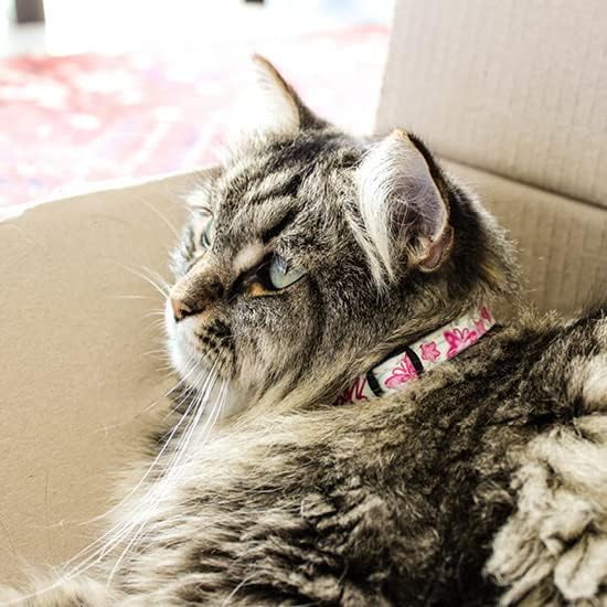 Rogz Glowcat Cat Collar with Safety Buckle Kitten/x-Small - Image 5