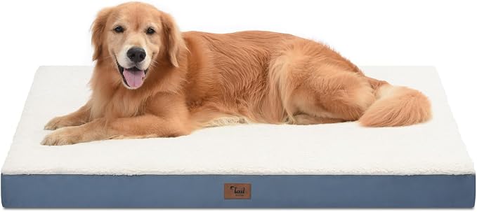 Orthopedic Dog Bed for Extra Large Dogs, XL Comfort Pet Mat for Large Sized Dog by TailStories
