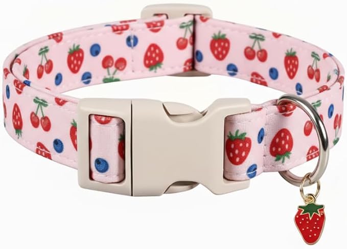 Girl Dog Collar, Cute Dog Collar by Britwicfr