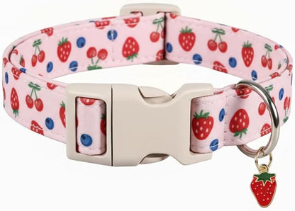 Pink Dog Collar, Girl Dog Collar by Britwicfr