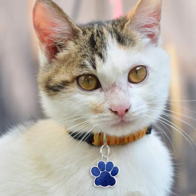 Cute Personalized Pet Name Tags - Image 6