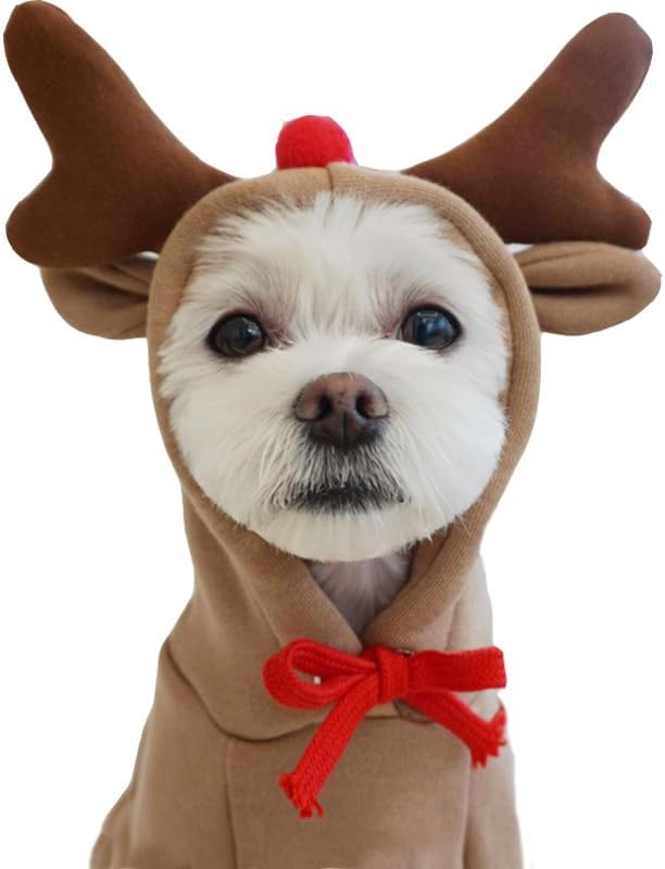Warm Dog Winter Clothes Cute Fruit Dog Coat Hoodies Fleece Pet Dogs Costume - Image 5