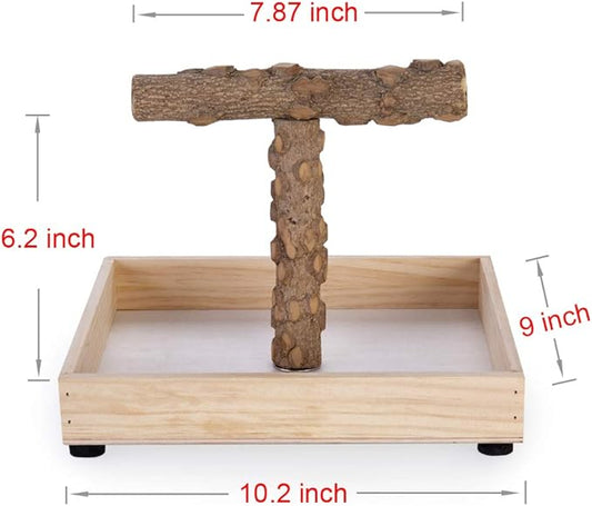 Bird Stand Tabletop, Portable Tee Stand, Parrot Play Stand Perch Gym - Image 2