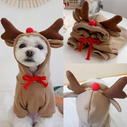 Warm Dog Winter Clothes Cute Fruit Dog Coat Hoodies Fleece Pet Dogs Costume - Image 4