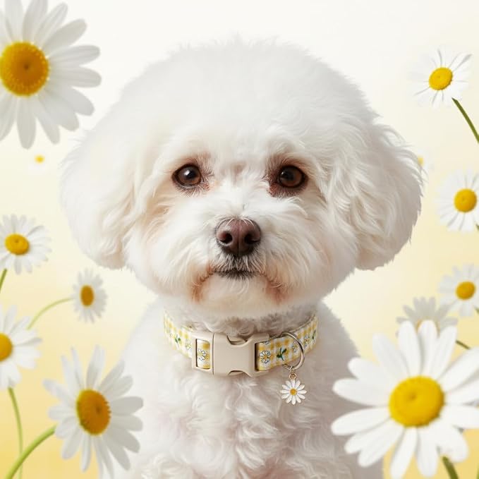 Cute Dog Collar, Spring Summer Design Floral Collar - Image 8