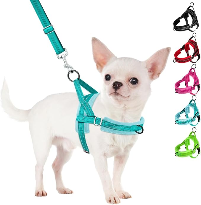 SlowTon No Pull Small Dog Harness and Leash Set, Puppy Soft Vest Harness Neck & by SlowTon