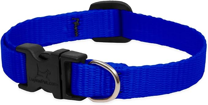 LupinePet Basics 1/2" Blue 10-16" Adjustable Collar - Image 2