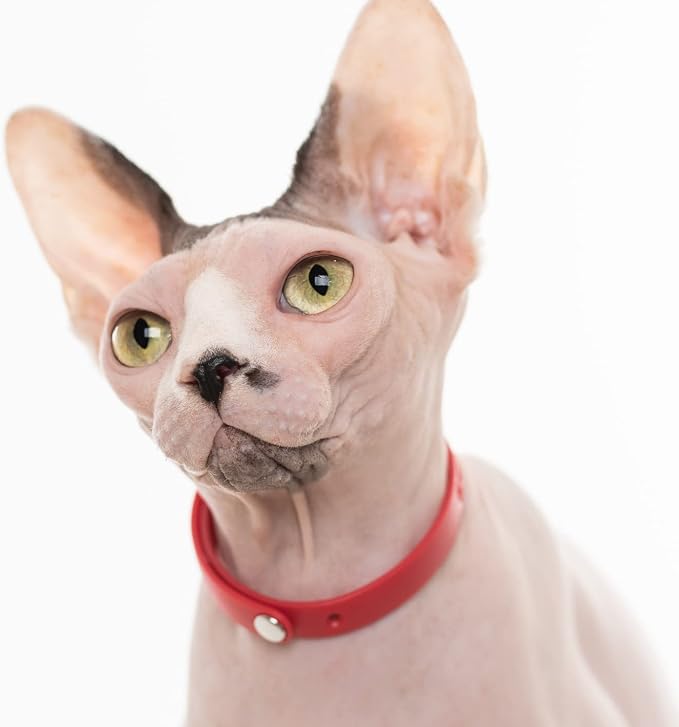 Red Cat Collar - Soft, Comfortable, and Lightweight Breakaway Collar - Image 4