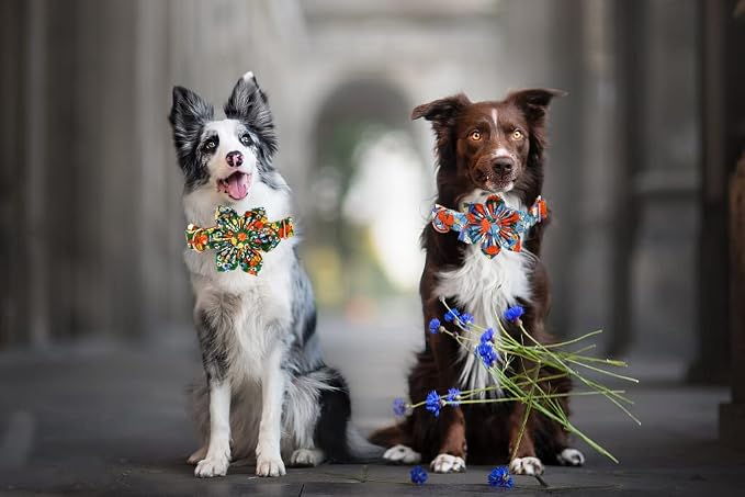 Lionheart Glory Cute Floral Pattern Pet Collar - Image 6