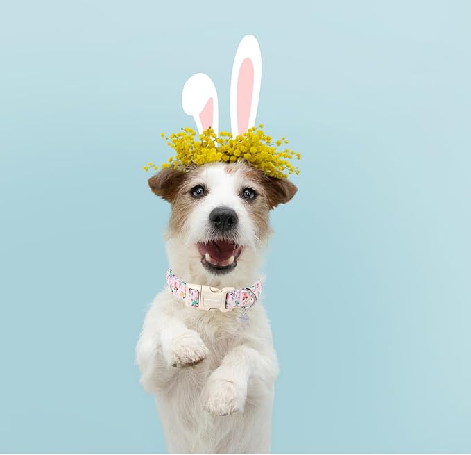 DOGWONG Easter Rabbit Dog Collar, Colorful Egg Dog Collar Soft Durable - Image 5