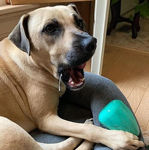 Chew King by Mammoth Premium Treat Dispensing Dog Toy, Durable Natural Rubber - Image 14