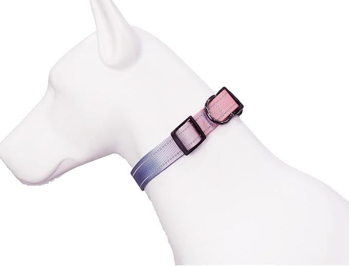 Roses&Poetry Reflective Dog Collar - Image 8