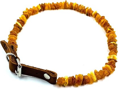 Baltic Amber Dog & Cat Collar by AmberJewelry