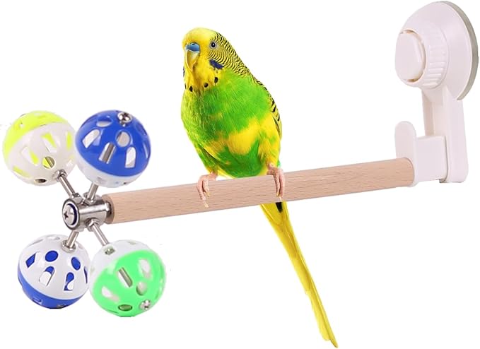 Window Suction Cup Bird Perch Toy by hereex