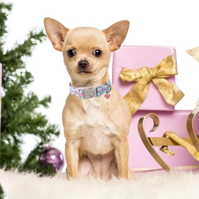 Unique style paws Valentine's Day Dog Collar Plastic Buckle Collar - Image 5