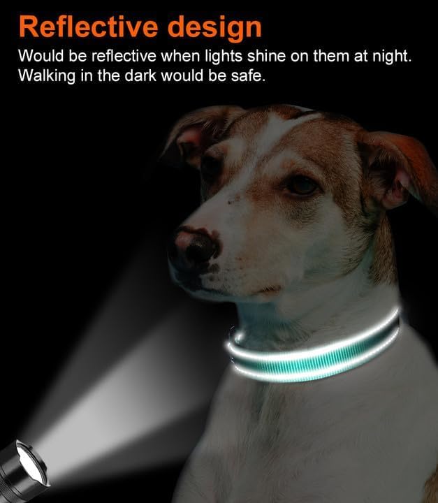 Joytale Reflective Dog Collar, Soft Neoprene Padded, Metal D-Ring, Nylon Pet - Image 5