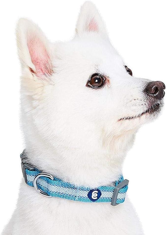 Blueberry Pet Essentials Matching Large Dog Collar | Adjustable Classic Solid - Image 3