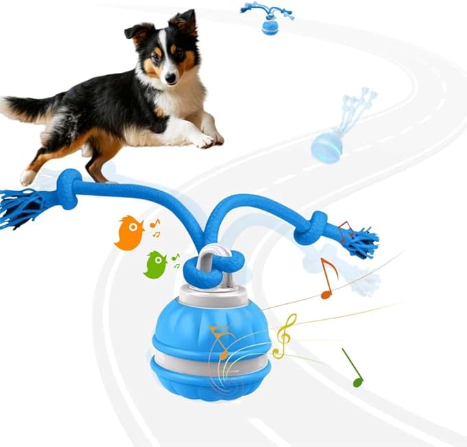 Interactive Dog Toys, Squeaky Dog Toys, Active Rolling Ball by OYSMY-houseofselection