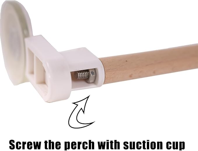 Window Suction Cup Bird Perch Toy - Image 3