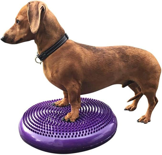 Dog Balance Disc Cushion 14" by Unknown