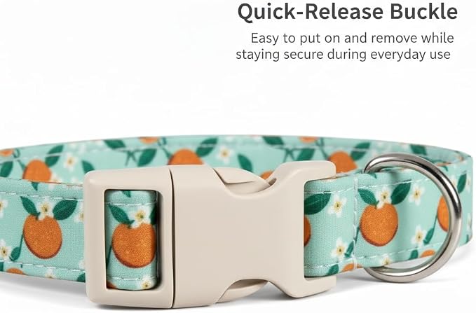 Dog Collar, Spring Summer Dog Collar - Image 3