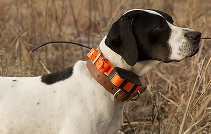 Sparky Pet Co - ECollar Replacement Strap - Bungee Dog Collar - Waterproof - - Image 9