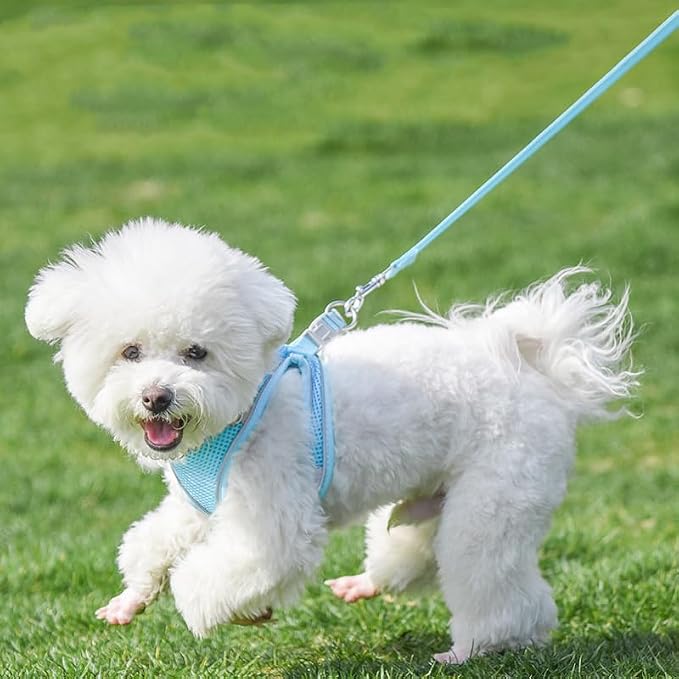 AIITLE Dog Harness, No-Pull Cat Harness - Image 4