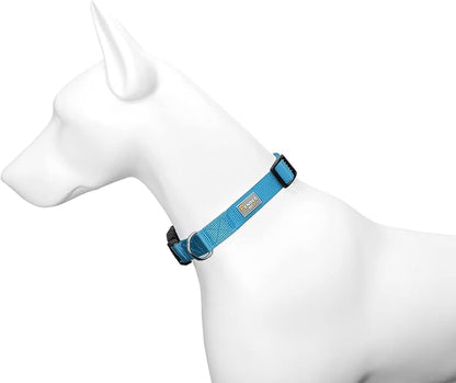 Dog Collar Light Blue Basic Dog Collars - Image 4