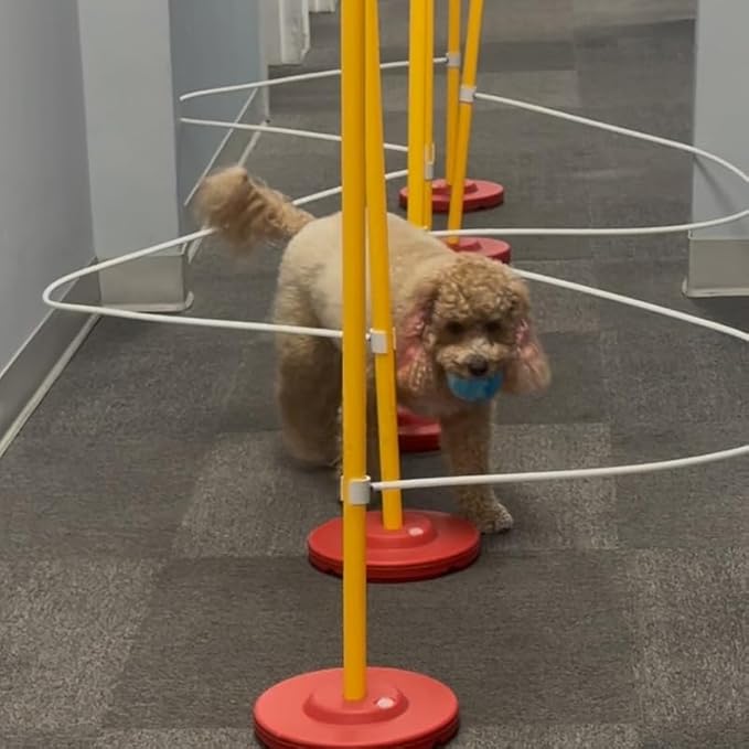 Dog Agility Weave Pole Guides – Training Aids by Unknown