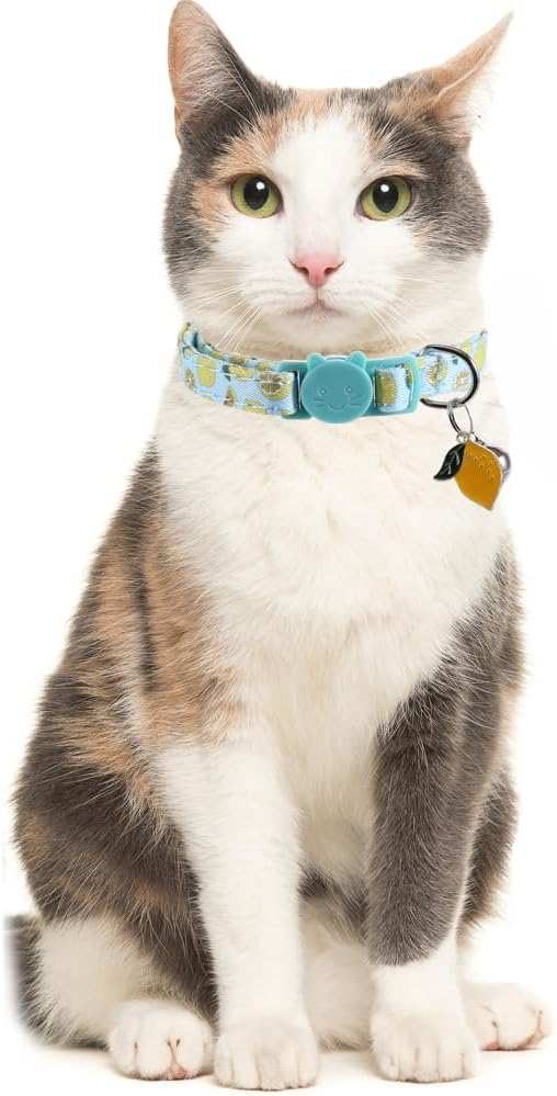 3 Pack Cat Collar Fruits with Bell Pendant Breakaway Adjustable Accessory - Image 4