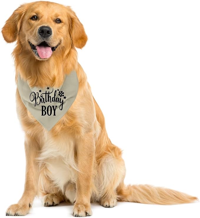A19 Birthday Dog Bandana - Image 4