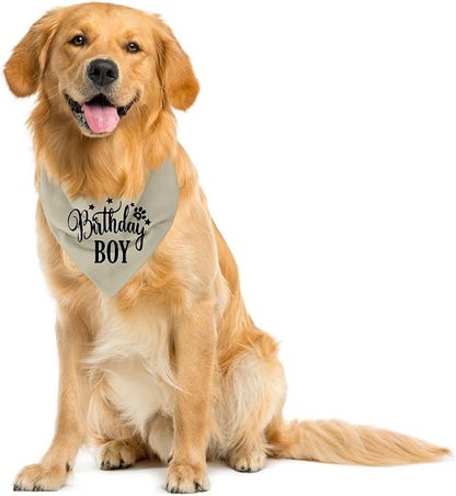 A19 Birthday Dog Bandana - Image 4