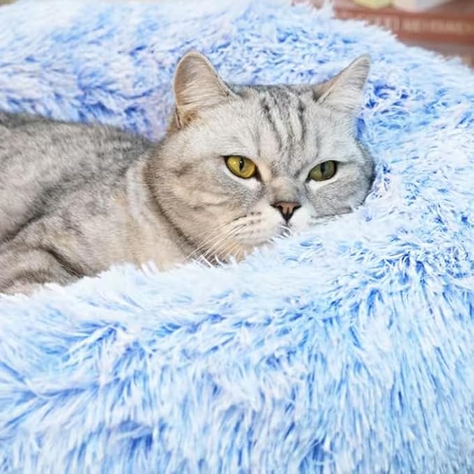 Cat Beds for Indoor Cats - Image 3
