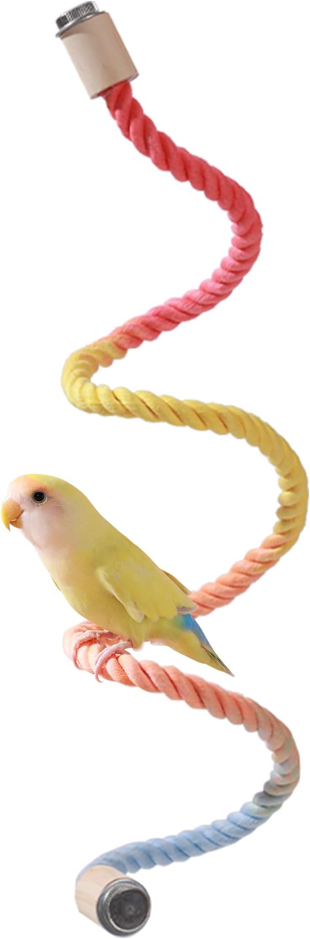 Multi-Color Rope Bird Perch Toys by Tafit