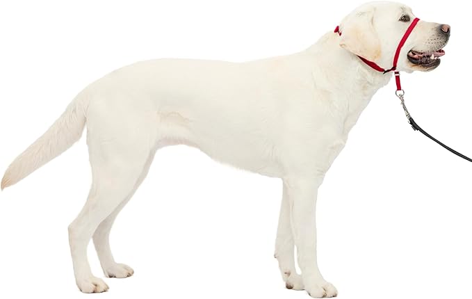 PetSafe Gentle Leader Headcollar No-Pull Dog Collar by PetSafe