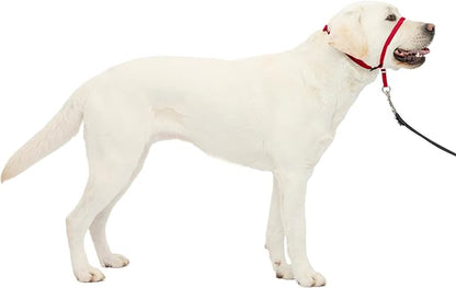 PetSafe Gentle Leader Headcollar No-Pull Dog Collar by PetSafe