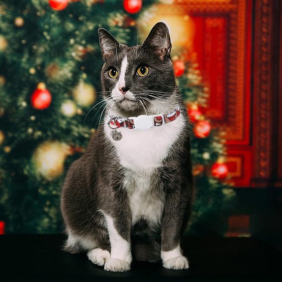 Lionet Paws 2pcs Pack Cotton Cat Collar, Breakaway Buckle Christmas Cat Colar - Image 6