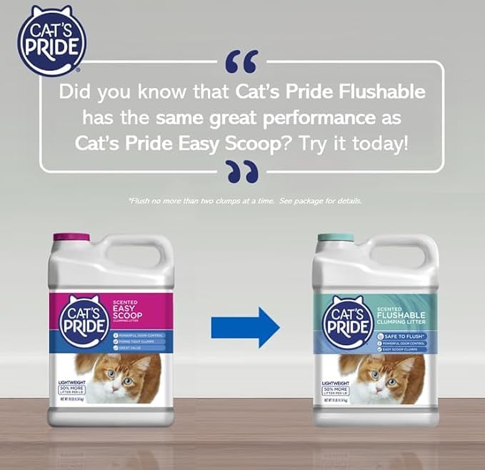 Cat's Pride Fresh and Clean Scent Cat Litter 10 lb. - Image 2