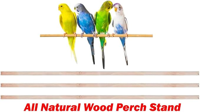 63" Roof Top Canary Parakeet Cockatiel Lovebird Finch Roof Top Bird Parrot Home - Image 7