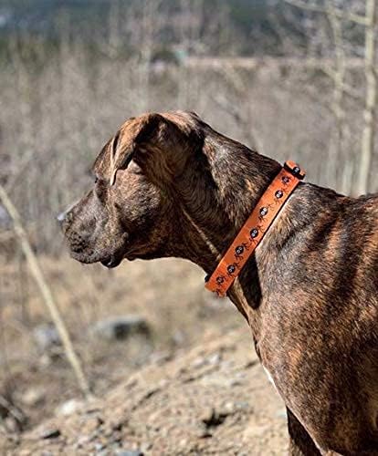 Native Pup Halloween Dog Collar- Spooky Fall Themed Horror Costume Collars- - Image 6