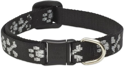 LupinePet Originals 1/2" Bling Bonz Cat Safety Collar by LupinePet