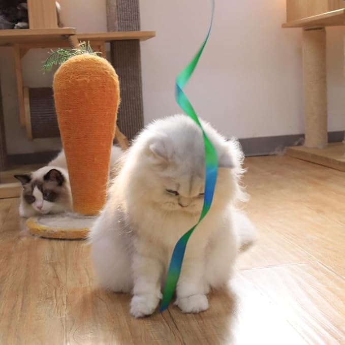 LASOCUHOO Interactive Cat Rainbow Wand Toys, Interactive Cat Teaser Wand String - Image 5