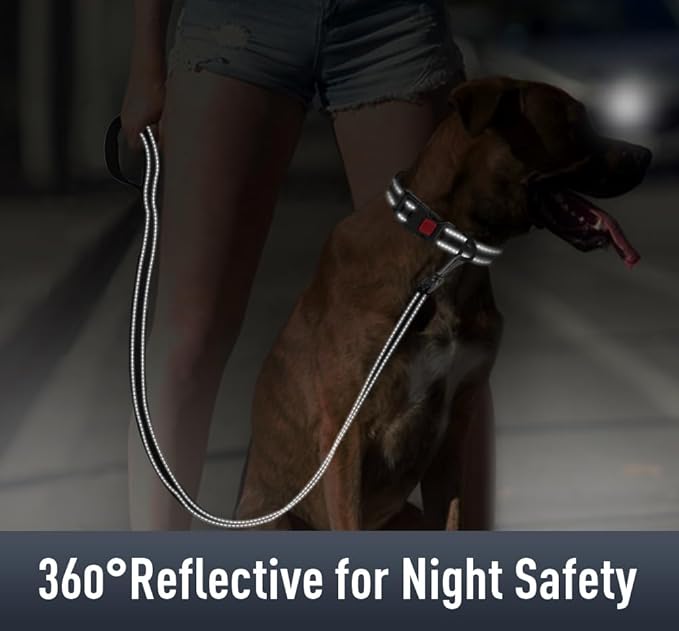 Airtag Dog Collar with AirTag Holder - Image 4