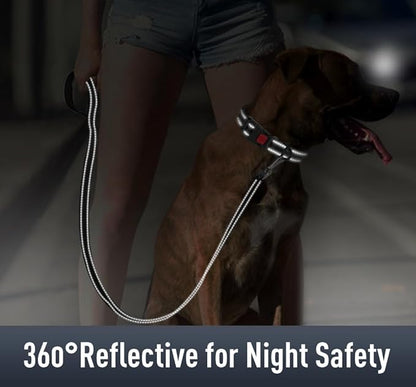Airtag Dog Collar with AirTag Holder - Image 4