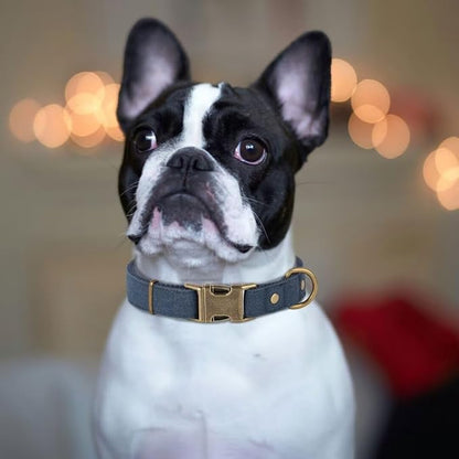 PET ARTIST Dog Collars for Small Dogs, Soft Padded Premium Nylon Dog Collar - Image 2