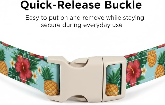 Summer Dog Collar with Tropical Pattern, Cute Dog Collar - Image 3